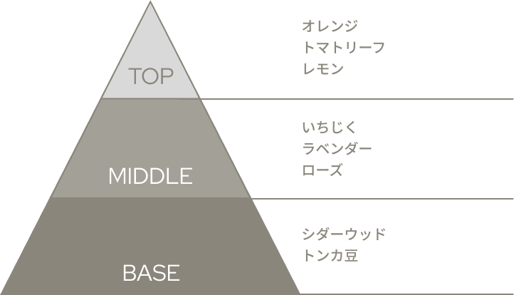 香りのピラミッド